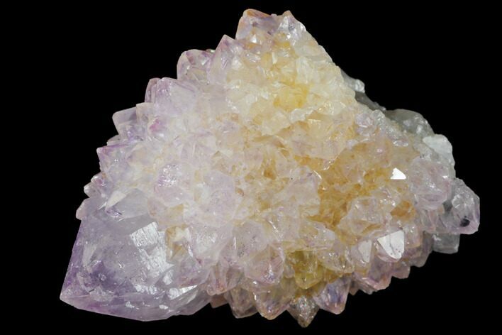 Cactus Quartz (Amethyst) Crystal - South Africa #132449